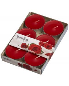 Bolsius, Bolsius Maxi Light X 6 Rose Velvet