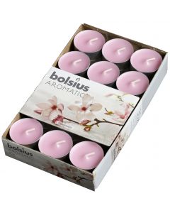 Bolsius, Bolsius Tealight Box 30 Pcs. Magnolia